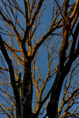 Pawan Kumar - Photographer in Delhi | www.dazzlerr.com