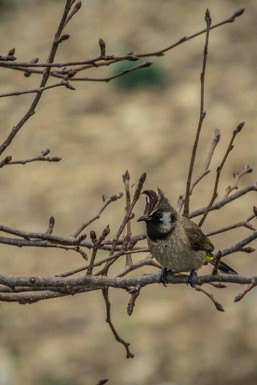 
Pankaj Chhimwal - Photographer in Delhi | www.dazzlerr.com