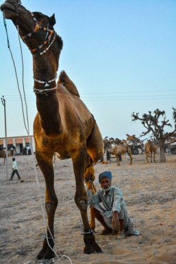 Hash Bishnoi - Photographer in Delhi | www.dazzlerr.com