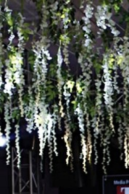 Sumer Singh - Photographer in Delhi | www.dazzlerr.com