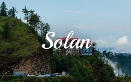 Solan