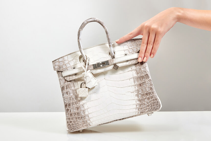 Himalayan-Birkin