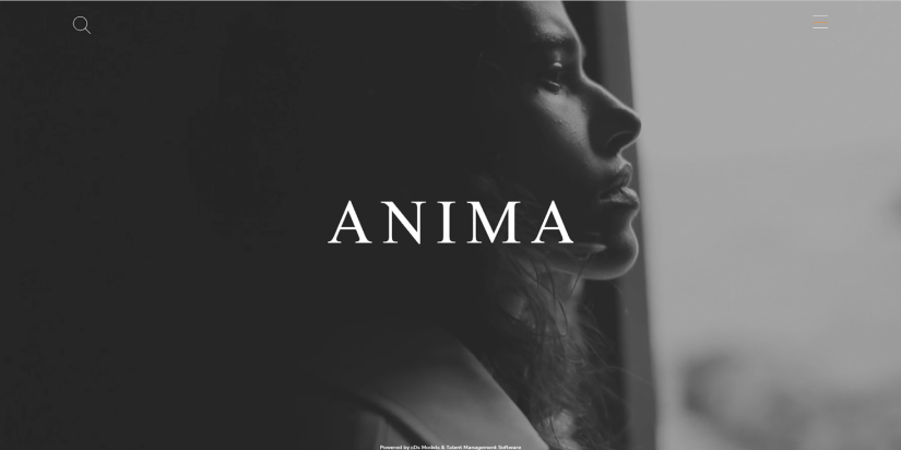 anima-creative-management