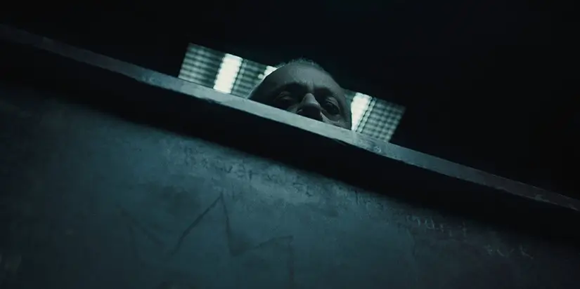 The Witness Character