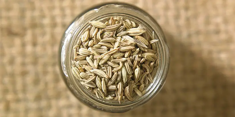 Fennel Seeds