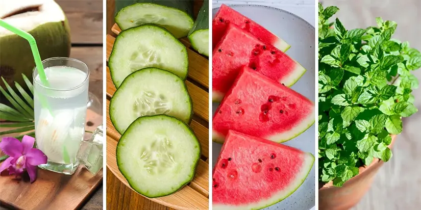 Hydrating Menu for Heatwave Survival