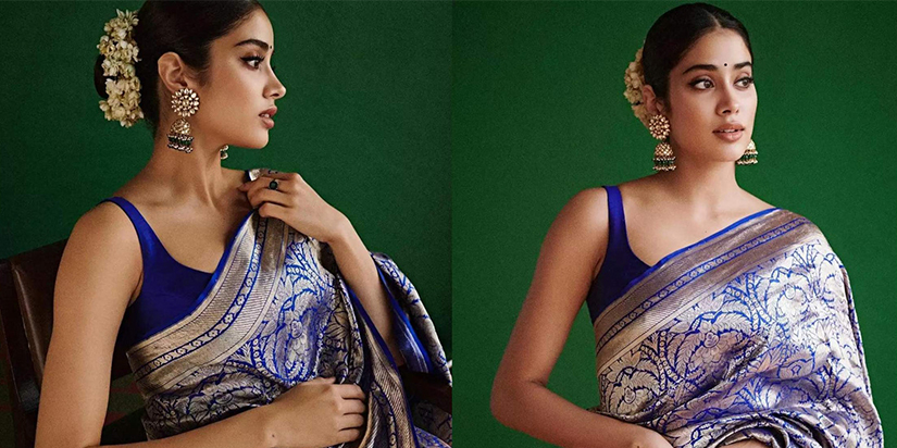 Elegant Traditional Drapes