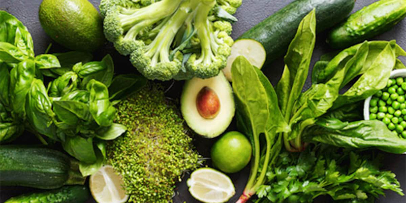 Green Fibre Foods